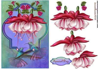 Special Oriental Fuchsia's and Birds