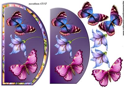 Butterflie Beauty