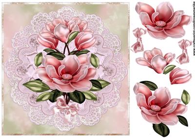 Camelia Pink Beauty
