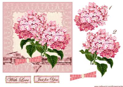 Vintage Pink Beauty
