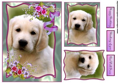 Puppy Love