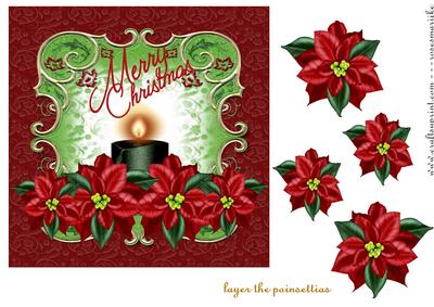 Classic Christmas Poinsettias