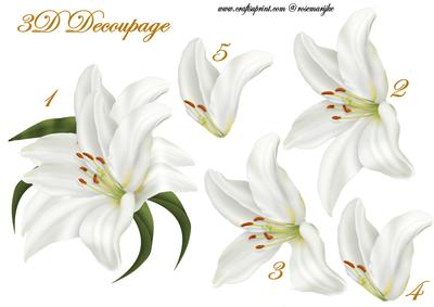 3D Decoupage Lily
