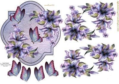 Scallop Winter Lillies and Butterflies