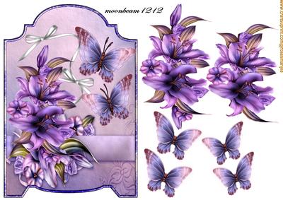 Screen Card Purple Lilies and Butterflies