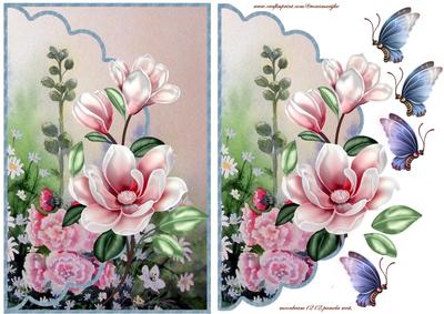 Envelop Garden and Magnolia's