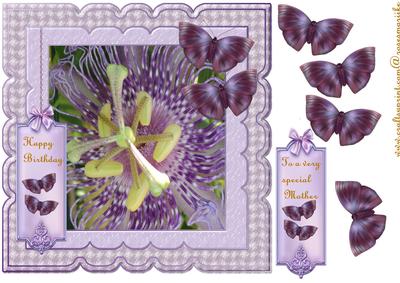 Scallop Lavender Passionflower Beauty