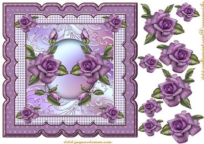 Scallop Heritage Roses