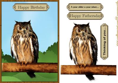 Wise Owl Birthday Male Card