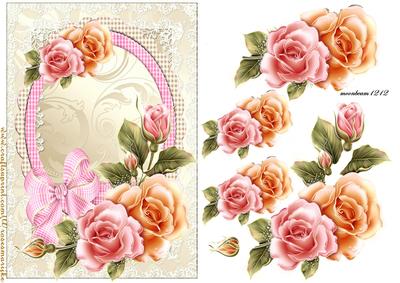 Roses and Lace