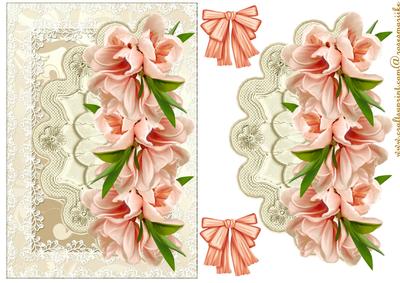 Lace and Blossoms in Peache/ Pink