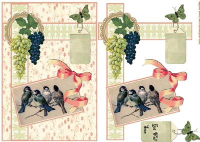 Vintage Beautiful Birds