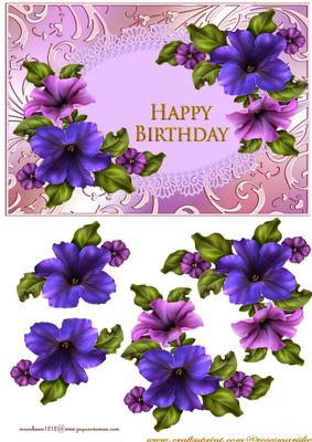 Petunia Beauty 2
