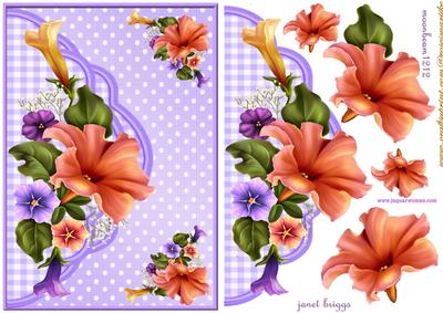 Envelop Petunia Beauty