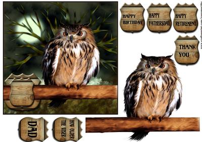 Wise Owl Birthday/other Occasion Male Card