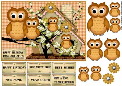 Owl House/new Home/birthday