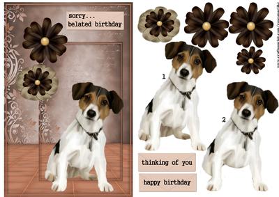 Belated Birthday/other /jack Russel