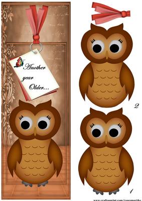 Large Dl Card Wise Owl Birthday