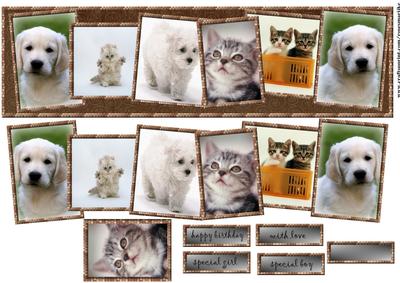 Large Dl Card Cats and Dogs 2