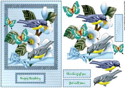 Birds in Bleu