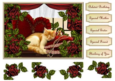 Sleeping Beauty Belated Birthday& Other Occasion