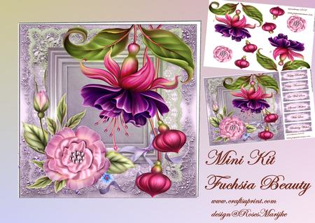 Mini Kit Fuchsia Beauty