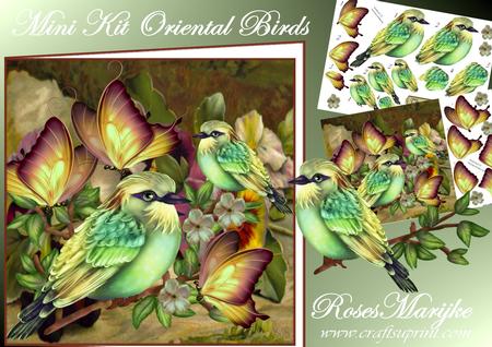 Mini Kit Oriental Birds Male Card