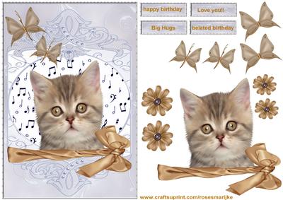 Cute Kitten Birthday Girl/other