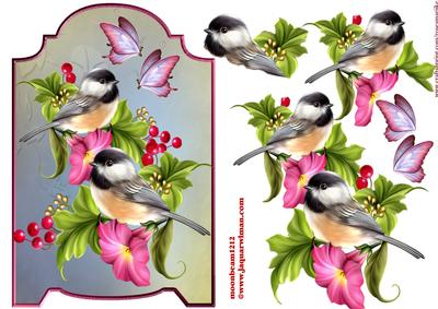 Beautiful Birds and Flowers Screen Card