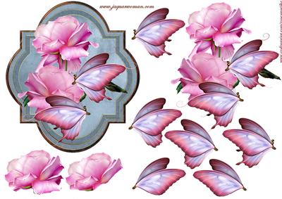 Scallop Roses & Butterflie Beauty