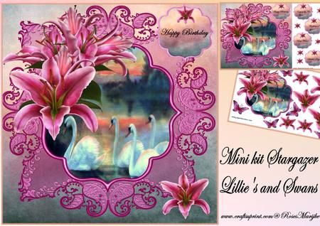 Mini Kit Stargazer Lilies and Swans