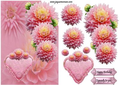 Corner Card Dahlias in Pink