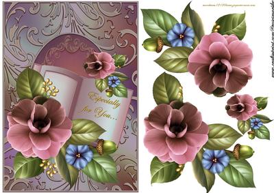 Camelia Beauty