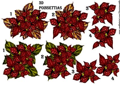 3D Cristmas Poinsettias