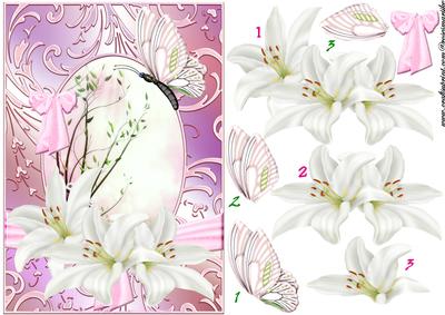 Butterflie and Lillies