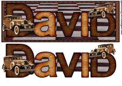 Large Dl Card David