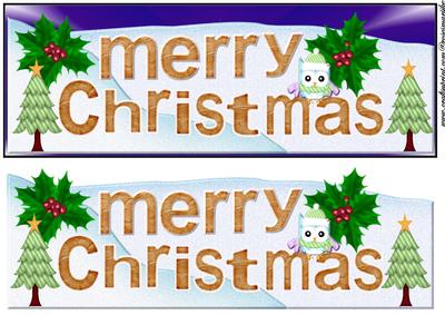 Large Dl Card Merry Christmas