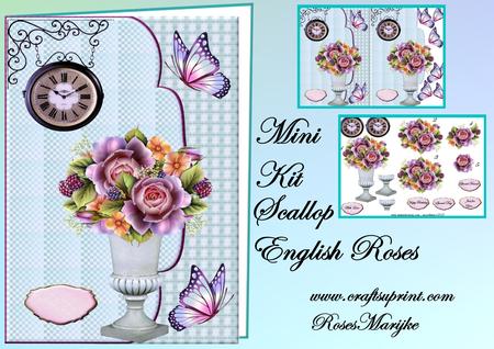 Scallop English Roses Mini Kit