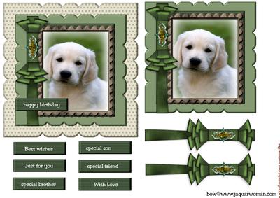Birthday Boy Puppy in Scallop Frame