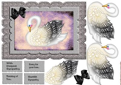 Scallop Sympathy Swan