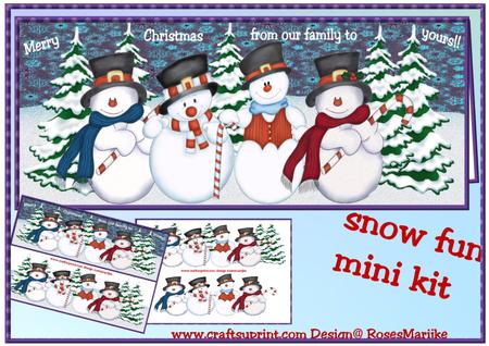 Mini Kit Large Dl Snow Fun