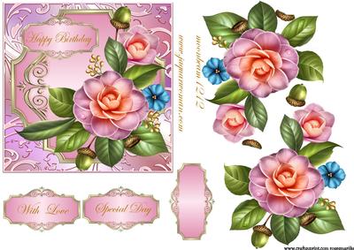 Pink Camelia