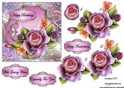 Special English Roses