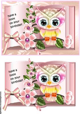 Birthday Girl Book Owl