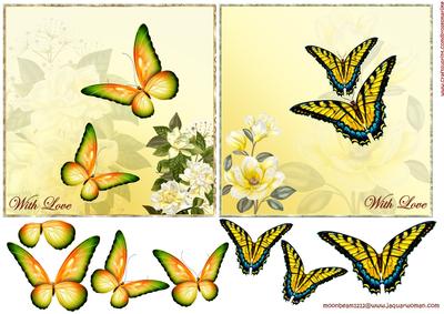 Flowers and Butterflies Quick Cards