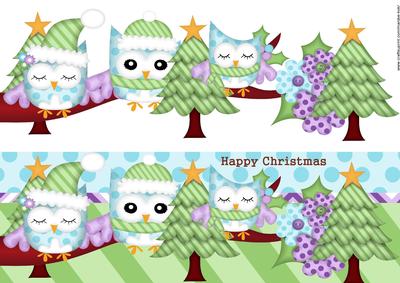 Large Dl Card Christmas Owls