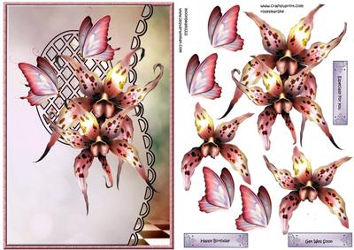 Scalloped S Edged Lattice Card Orchids