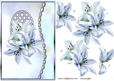 Scalloped S Edged Lattice Card Vintage Lillies