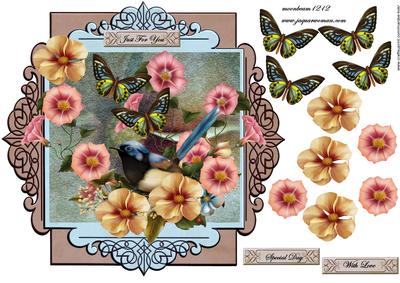 Shield Birds and Butterflies 2