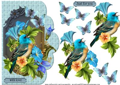 Bird Song